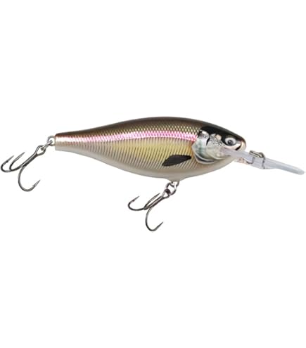 Amazon.co.jp: ラパラ(Rapala) シャッドラップ 8cm 11g シャッド